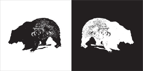 Illustration vector graphics of bear icon