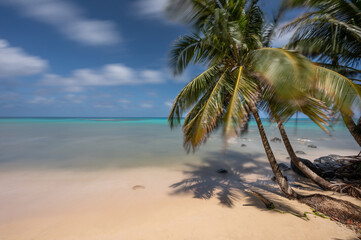 Caribbean tropical beach resort