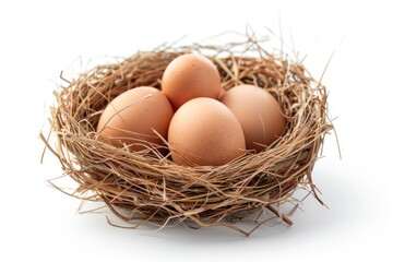 a chicken egg in the nest Isolated on white background