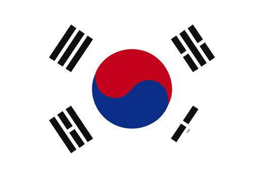 South Korea flag with palette knife paint brush strokes grunge texture design. Grunge brush stroke effect
