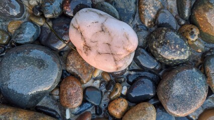 Southern California beach scenes with sunsets, surfers, tide pools and palms trees at Swamis Reef...