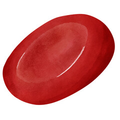 Red blood cell