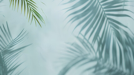 A leafy palm tree casts a shadow on a wall. The shadow is long and thin, stretching across the wall. Concept of tranquility and relaxation, as the palm tree's leaves provide a natural