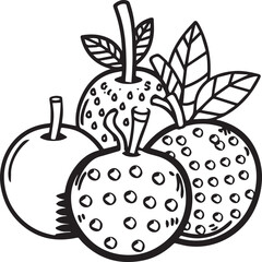 Fruits coloring pages for coloring book. Fruits outline vector