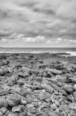 Black and white photo of a volcanic beach, Galapagos Islands, Ecuador. - 766418267