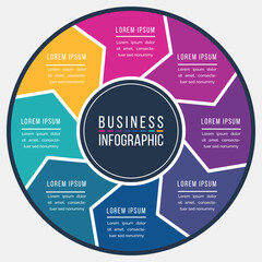 Infographic design circle 8 steps or options business information colored template