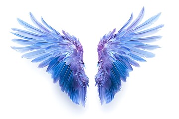 Colorful angel wings on a white background, 3D rendered illustration