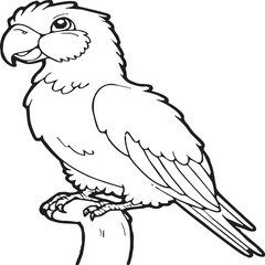 Parrot coloring pages for coloring book. Parrot outline vector