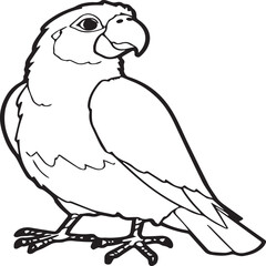 Parrot coloring pages for coloring book. Parrot outline vector