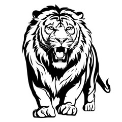 lion illustration