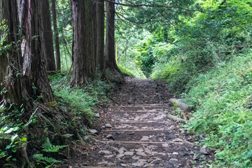 Mountain trail from Hirugadake to Mt. Tanzawa 