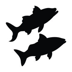 silhouette of Snook fish on white