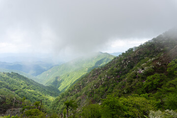 Mountain trail from Hirugadake to Mt. Tanzawa 