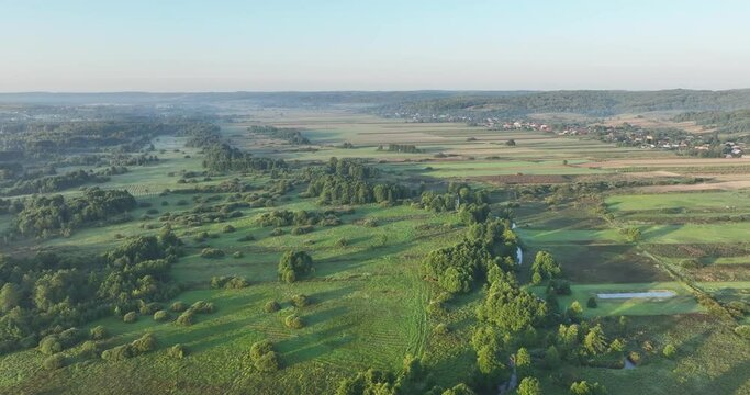 Użytki zielone o poranku skryte za obłokami mgły o wschodzie słońca