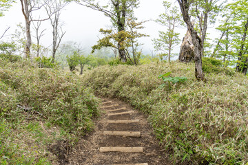 Fototapeta premium Trail between Tanzawa and Tonodake