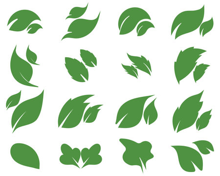 Green leaf icons set. Leaves icon on isolated background. Collection green leaf. Elements design for natural,  Vector illustration. 
