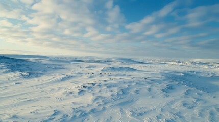 Fototapeta na wymiar A vast expanse of snow-covered tundra stretching to the horizon, 