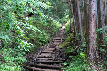 Trail between Mt. Tonodake and Okura