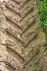 Tractor Tire Tracks on Parched Cracked Earth
