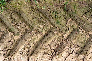Tractor Tire Tracks on Parched Cracked Earth
