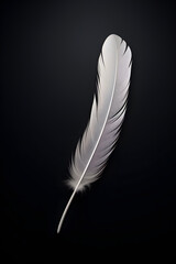 Elegant Simplicity: Single Feather Minimalist Illustration