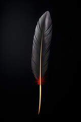 Elegant Simplicity: Single Feather Minimalist Illustration