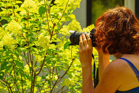 Woman with camera take photo of flowers