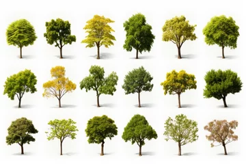Fotobehang A collection of various types of trees © Adobe Contributor