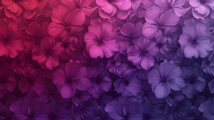 Poster Beautiful collage background of purple flowers © seagull