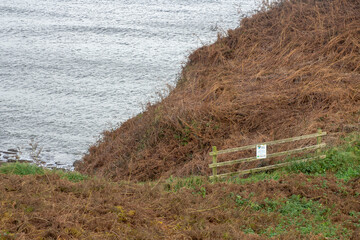  A view of Hundale Point on the East Yorkshire coastline with the North Sea