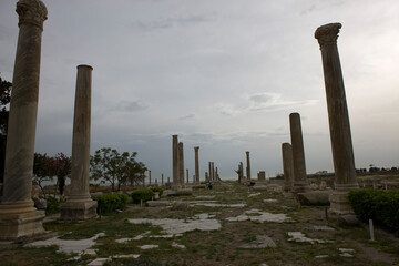 Lebanon Ancient city of Tire on a sunny autumn day