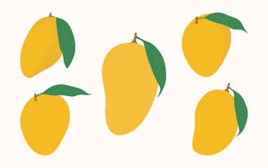 Obraz premium Mango Vector Illustration Hand Drawing Graphic Bundle