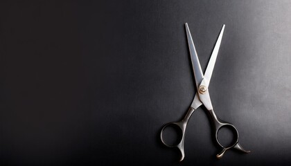 Hairstyling Scissors, Salon, Barber Shears