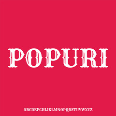 fun geometric retro modern soft display font