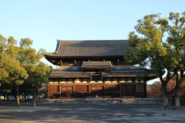 Toji Kondo Hall in the early morning, in Kyoto, Japan