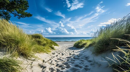 photograph of beautiful white sandy beach with dunes and sea grass, clouds in the sky, sun shining on water,