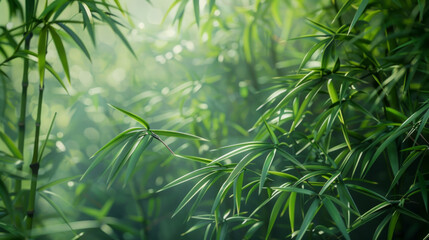 A tranquil bamboo grove covered in fresh green leaves, creating a serene and calming atmosphere