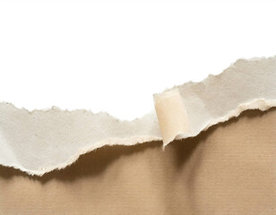 gerissenes Papier stück isoliert auf weißen Hintergrund, Freisteller