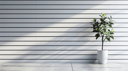 White horizontal wooden lines with flower pot.