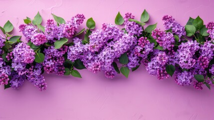 Cluster of Purple Flowers on Pink Background