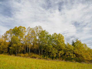 Autumn Mountain Landscape. Dramatic sky. In the foreground autumn's trees. Zilina Region. Beszeniowa. Slovakia