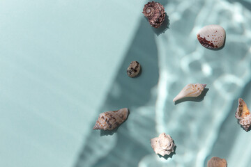 Different kinds of seashells on the blue background top view. Copy space