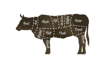 Butcher diagrams of meat cuts, cow, beef - vector illustration