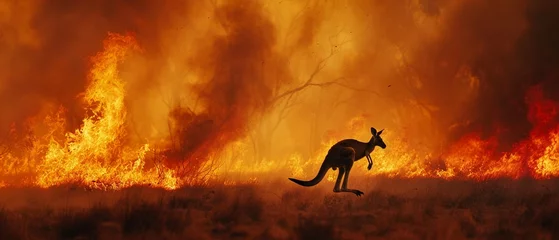 Rolgordijnen A lone kangaroo bounds away from the intense flames and smoke of a raging Australian bushfire. © Creative_Bringer