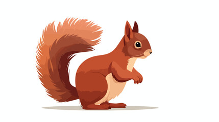 Squirrel Flat vector isolated on white background