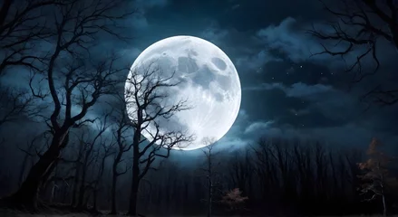 Zelfklevend Fotobehang Volle maan en bomen Full moon over dead trees in the forest at night. Halloween background
