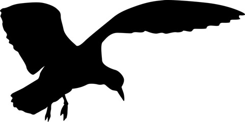 Silhouette on a white background of a sea gull