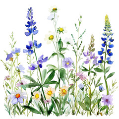 Watercolor Spring Wildflowers Clipart.