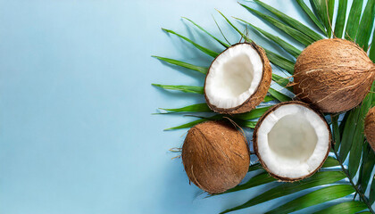 summer banner with coconuts on a light blue background. Top view, flat lay with a big copy space
