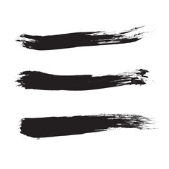 vector brush strokes graphic design